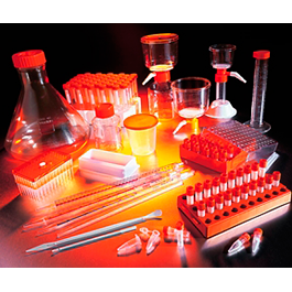 Lab Plasticware 实验室Plasticware